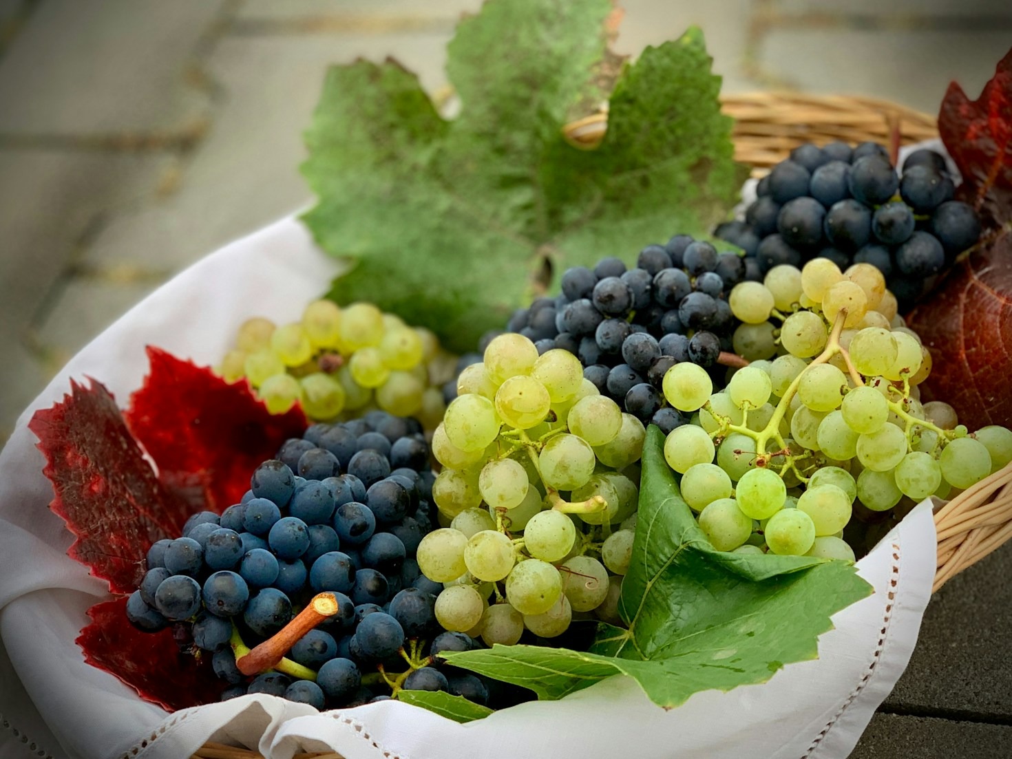 Os Segredos da Harmonização: Vinho e Gastronomia